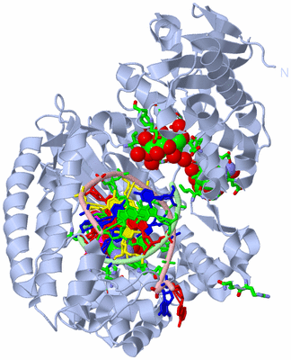 Image Biol. Unit 1 - sites