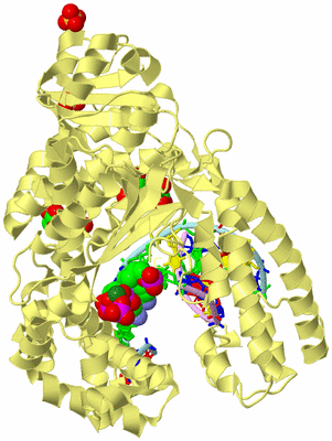 Image Biological Unit 2