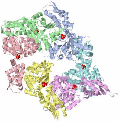 Image Asym./Biol. Unit