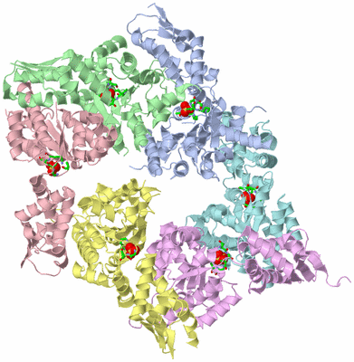 Image Asym./Biol. Unit - sites