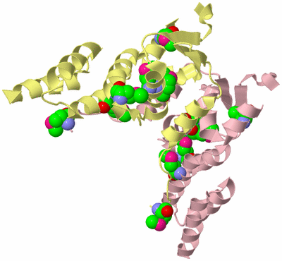 Image Biological Unit 2