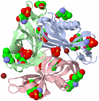 Image Asym./Biol. Unit