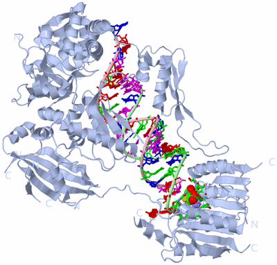 Image Biol. Unit 1 - sites