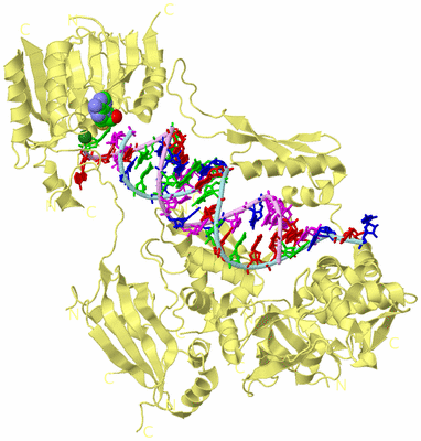 Image Biological Unit 2