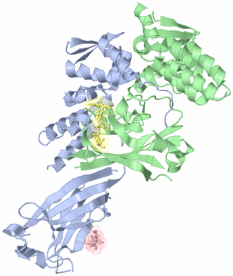 Image Asym./Biol. Unit