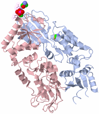 Image Biological Unit 4