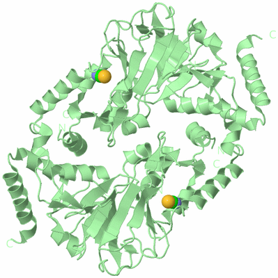 Image Biological Unit 5