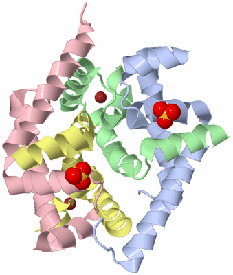 Image Biological Unit 1