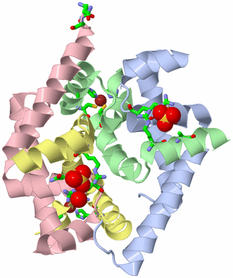 Image Biol. Unit 1 - sites