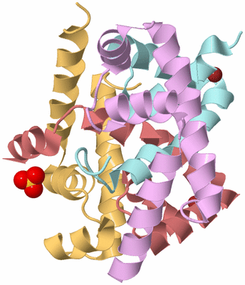 Image Biological Unit 2