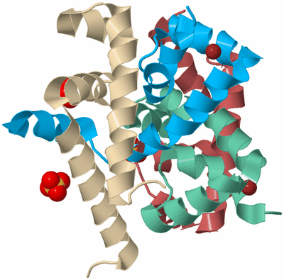 Image Biological Unit 3