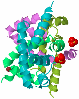 Image Biological Unit 4