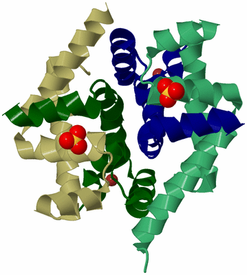 Image Biological Unit 5