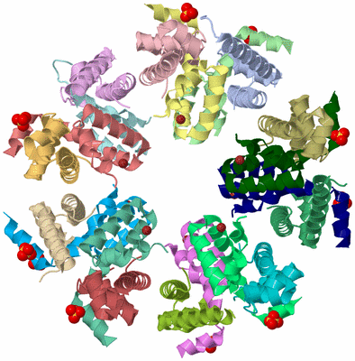 Image Biological Unit 6