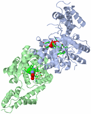 Image Asym./Biol. Unit - sites