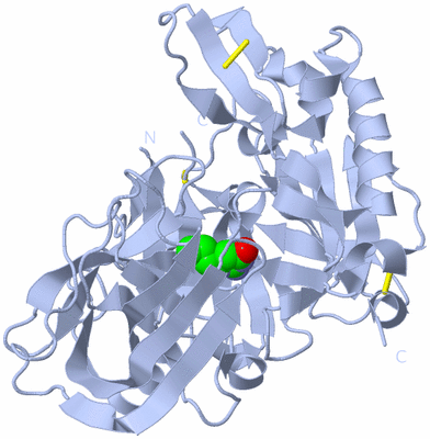 Image Biological Unit 1