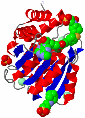 Image Asym./Biol. Unit