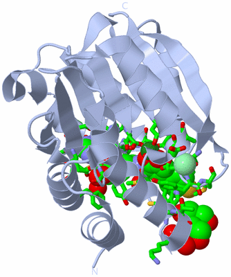 Image Biol. Unit 1 - sites