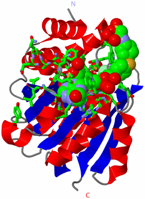 Image Asym./Biol. Unit - sites