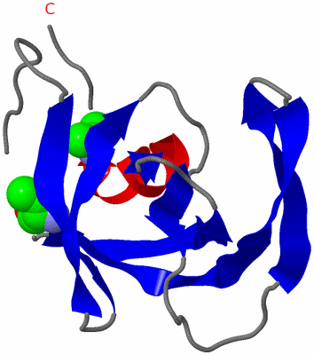 Image Asymmetric Unit