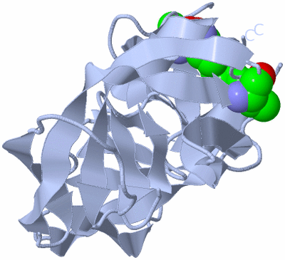 Image Biological Unit 1