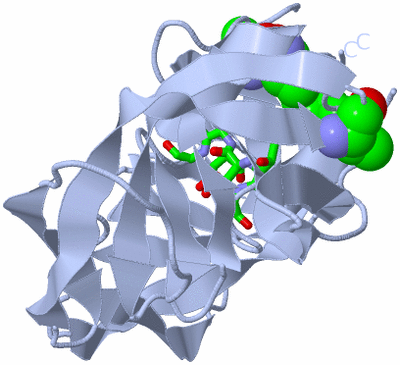 Image Biol. Unit 1 - sites