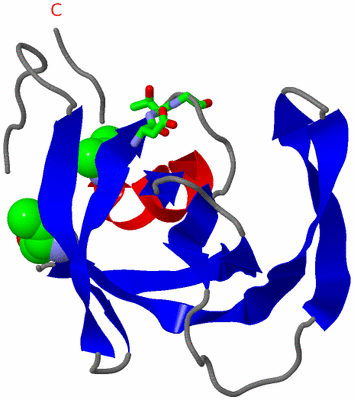 Image Asym. Unit - sites