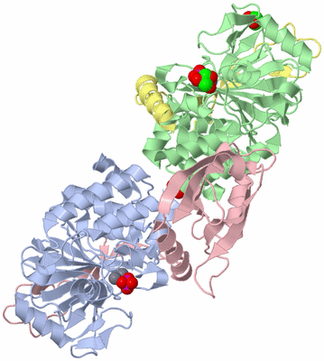 Image Biological Unit 1