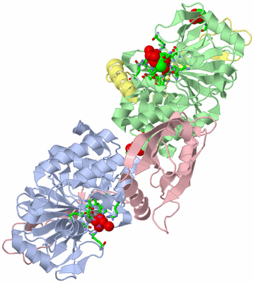 Image Biol. Unit 1 - sites