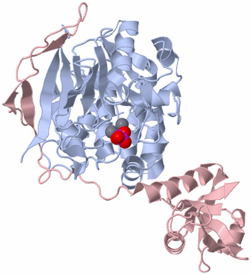 Image Biological Unit 2