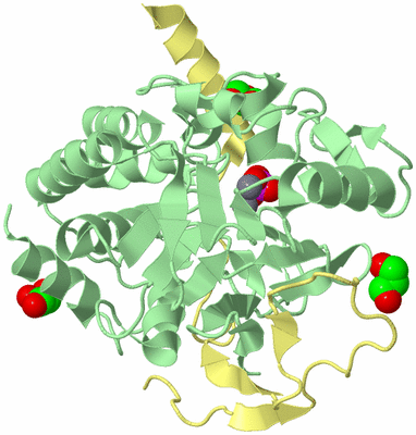 Image Biological Unit 3