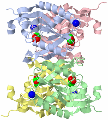 Image Asym./Biol. Unit