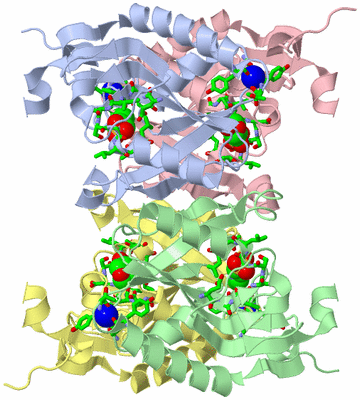 Image Asym./Biol. Unit - sites