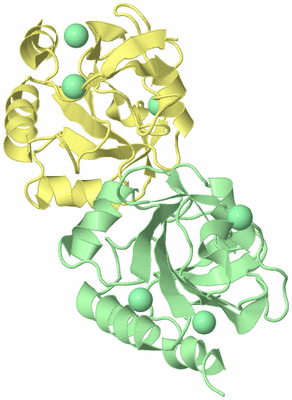 Image Biological Unit 2