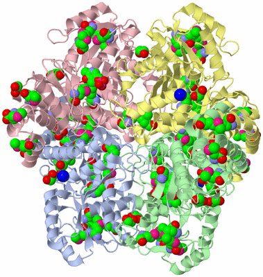 Image Asym./Biol. Unit