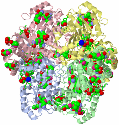 Image Asym./Biol. Unit - sites