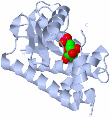 Image Biological Unit 1