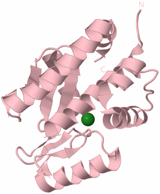 Image Biological Unit 3