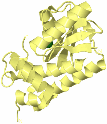 Image Biological Unit 4