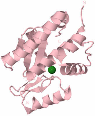 Image Biological Unit 3