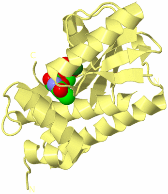 Image Biological Unit 4