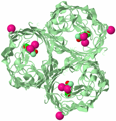 Image Biological Unit 2