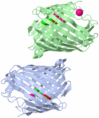 Image Biological Unit 3