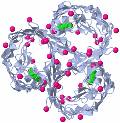 Image Biological Unit 1