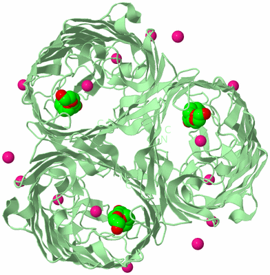 Image Biological Unit 2