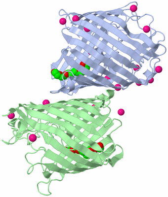 Image Biological Unit 3