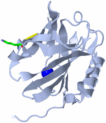 Image Biol. Unit 1 - sites