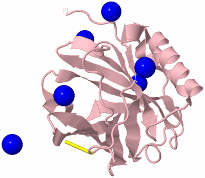 Image Biological Unit 3