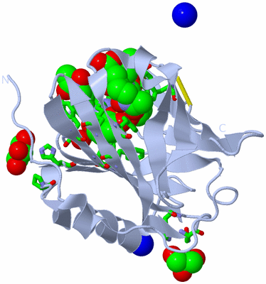 Image Biol. Unit 1 - sites