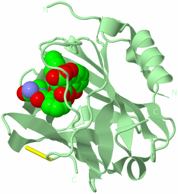 Image Biological Unit 2